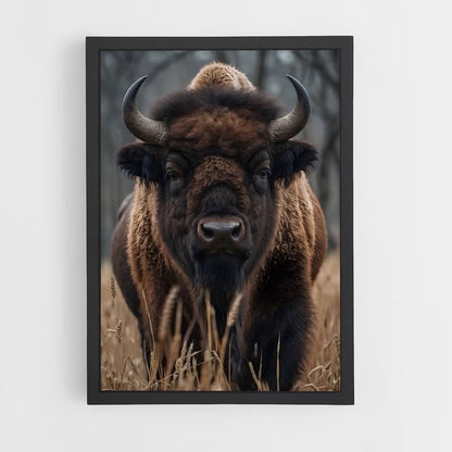 ap-buffalo-2 cadre Noir