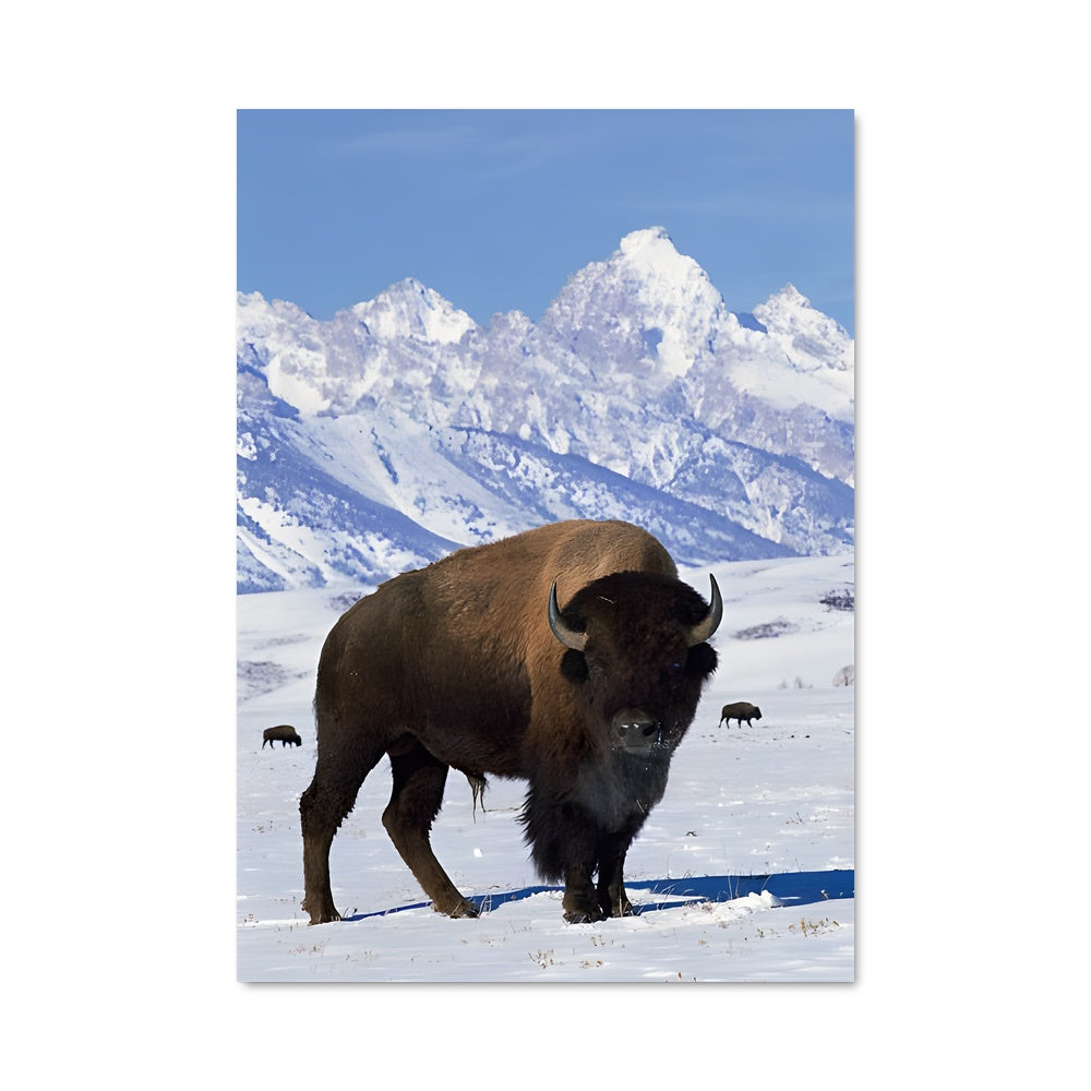 Poster La Force des Montagnes