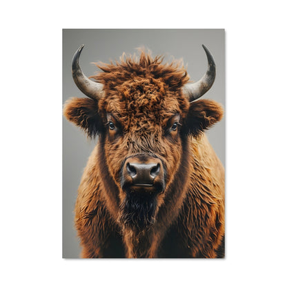 Poster Regard Sauvage