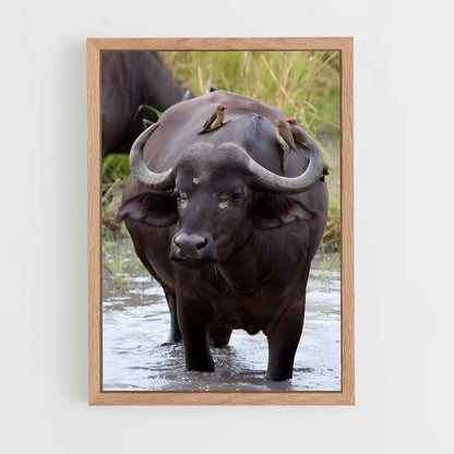 ap-buffalo-7 cadre Bois clair