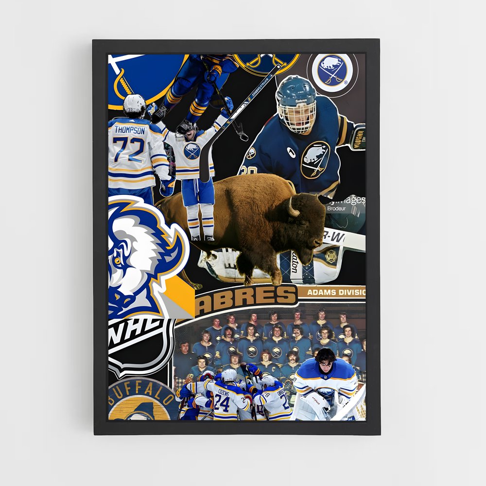 ap-buffalo sabres-1 cadre Noir