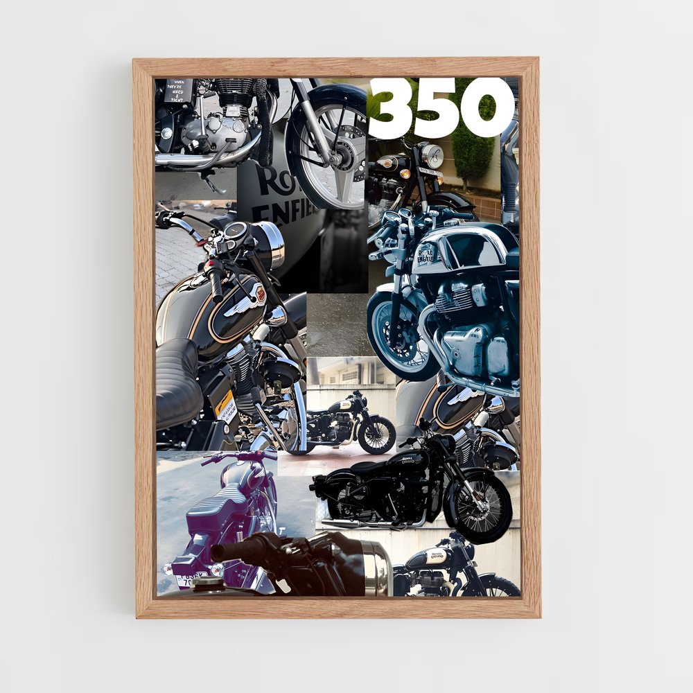 ap-bullet 350-10 cadre Bois clair