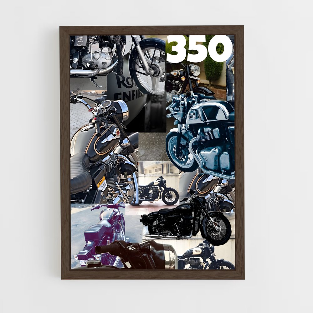 ap-bullet 350-10 cadre Bois foncé