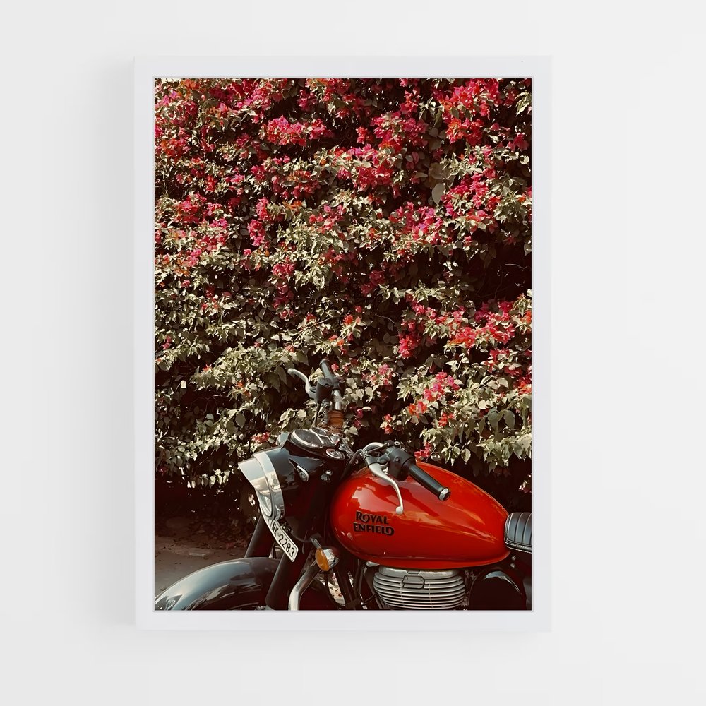 ap-bullet 350-13 cadre Blanc
