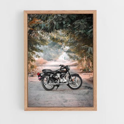 ap-bullet 350-15 cadre Bois clair