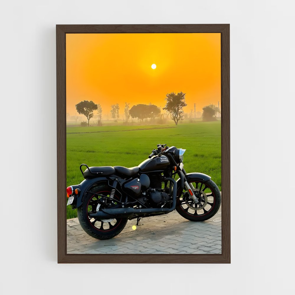 ap-bullet 350-5 cadre Bois foncé