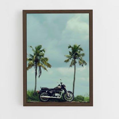 ap-bullet 350-8 cadre Bois foncé