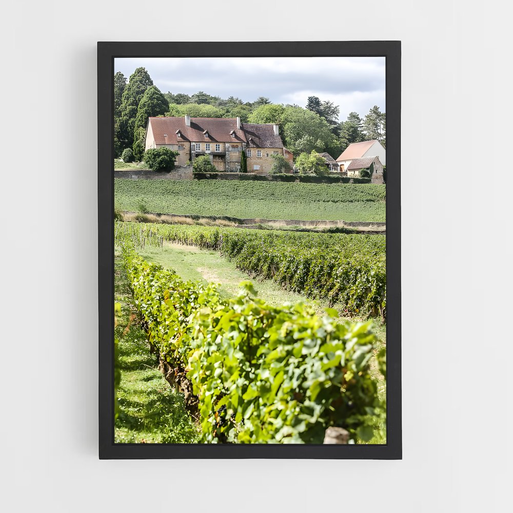 ap-burgundy vineyards-2 cadre Noir