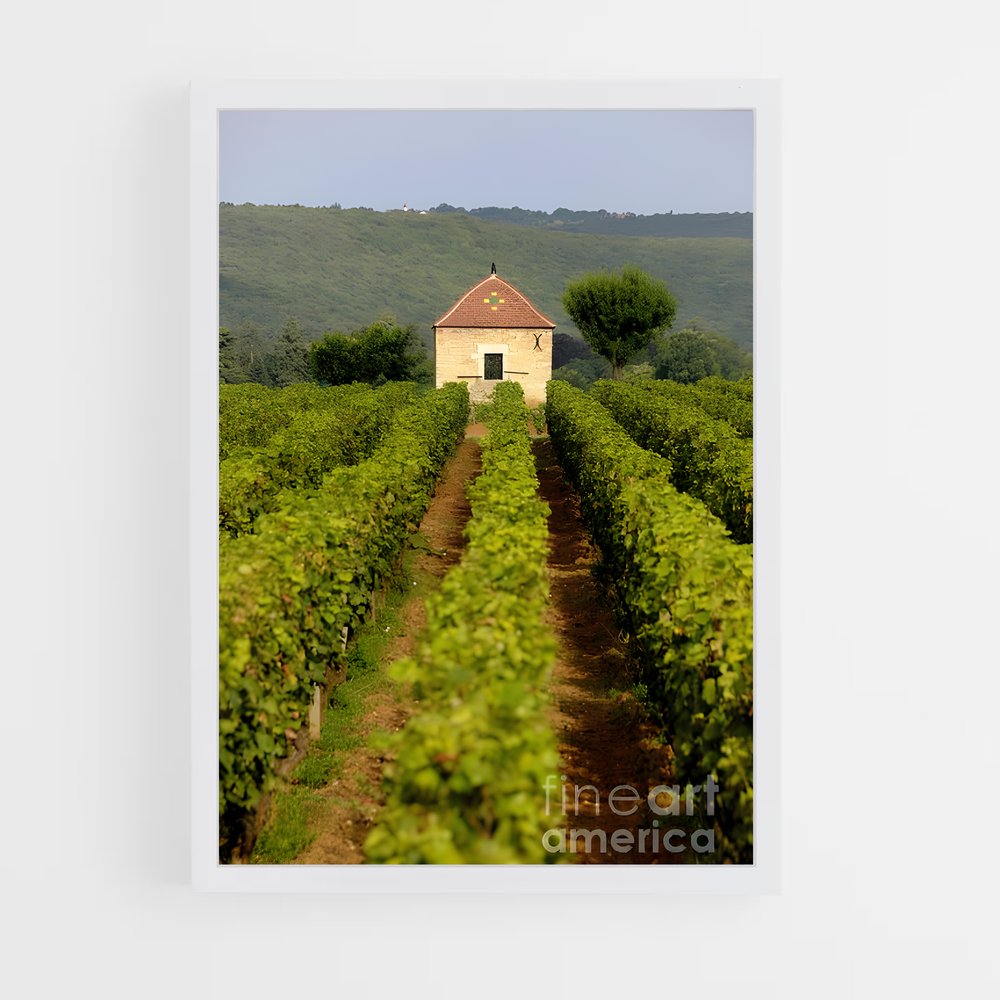 ap-burgundy vineyards-3 cadre Blanc
