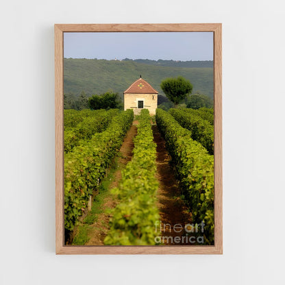 ap-burgundy vineyards-3 cadre Bois clair