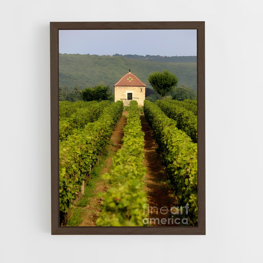 ap-burgundy vineyards-3 cadre Bois foncé