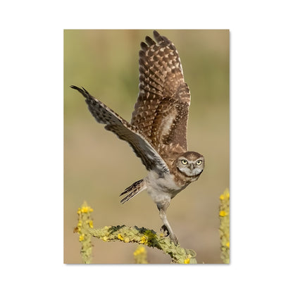 Poster Hibou Voyageur