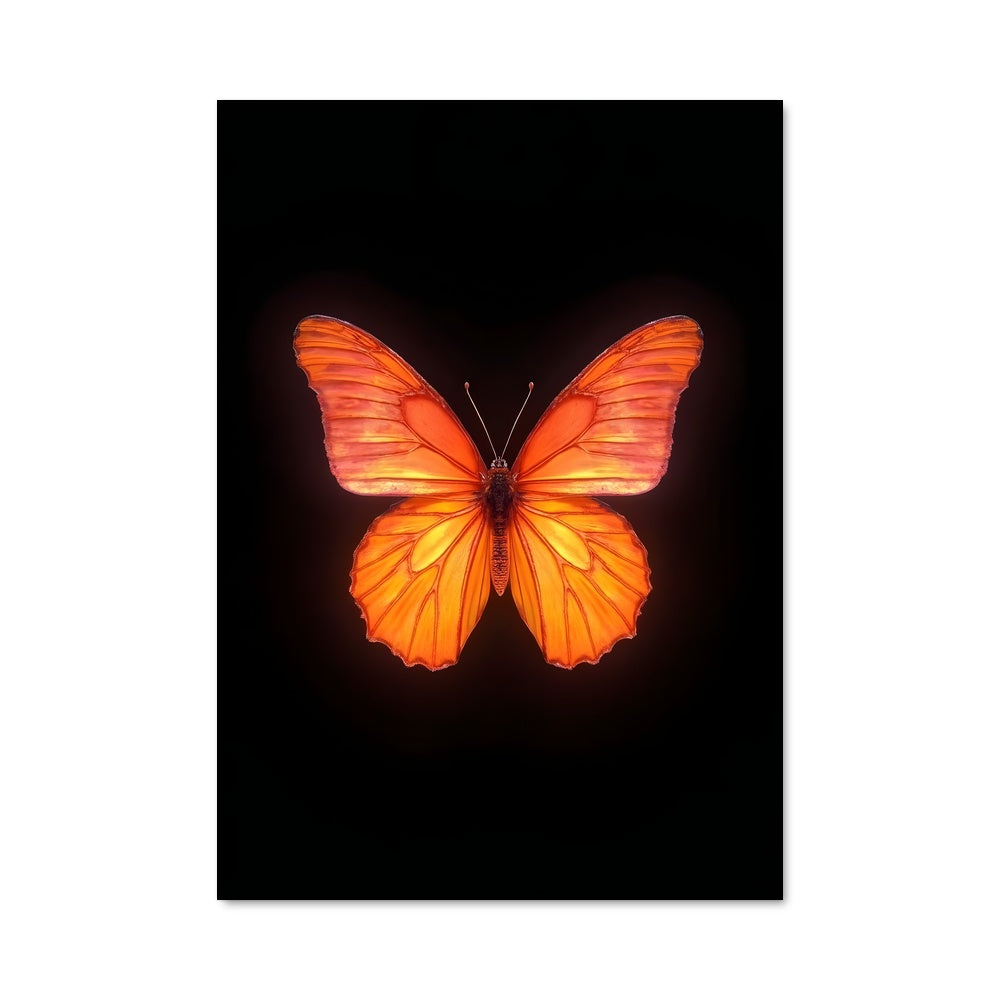 Poster Papillon Crépusculaire