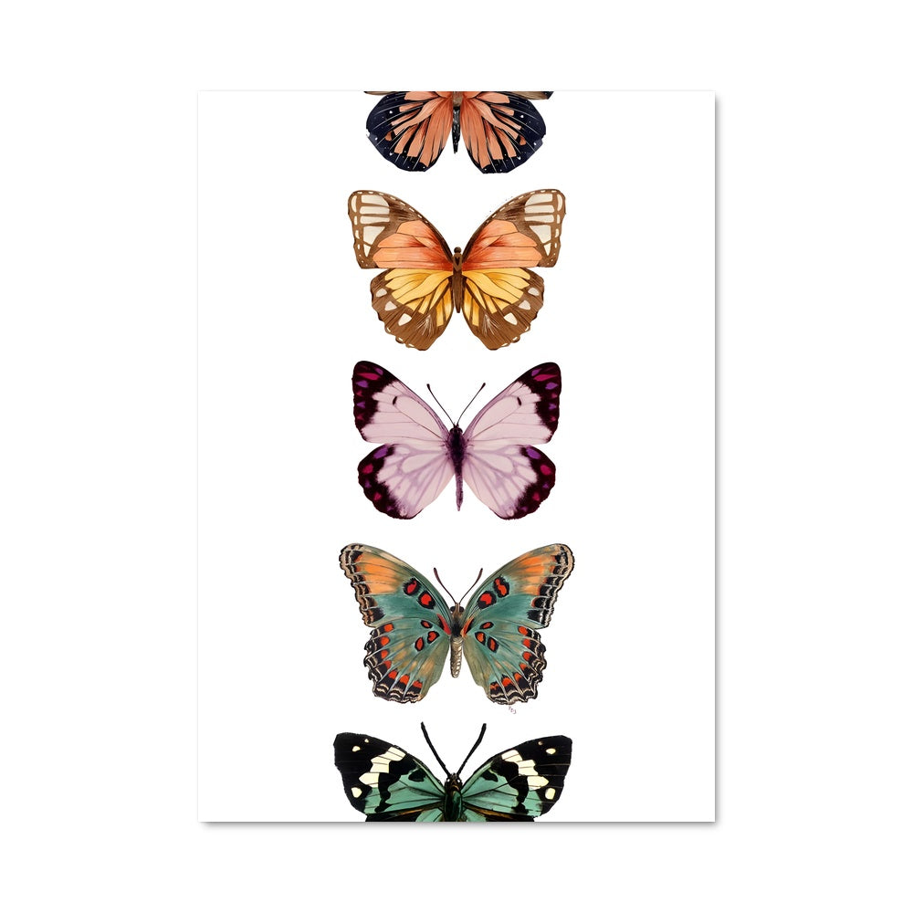 Poster Butterfly 83247