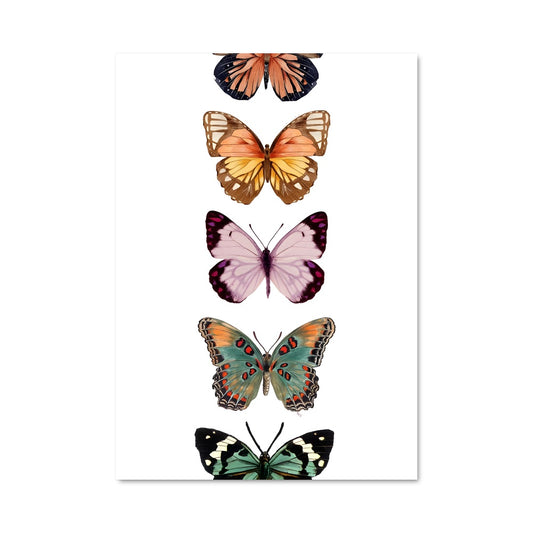 Poster Butterfly 83247