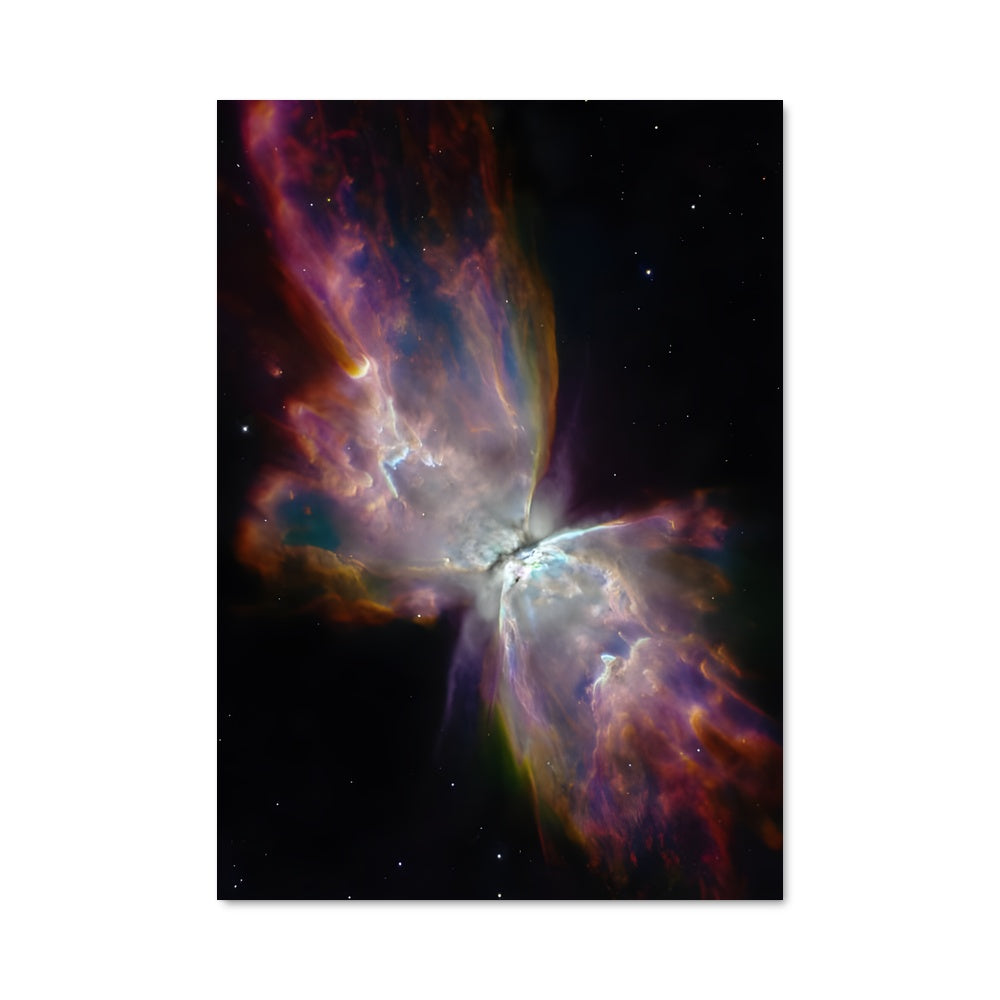 Poster La Nébuleuse Papillon