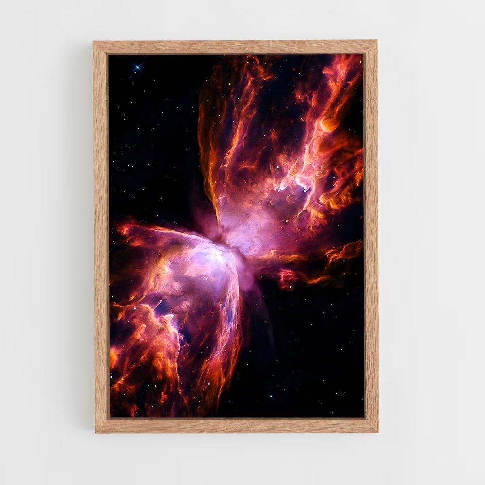 ap-butterfly nebula-1 cadre Bois clair