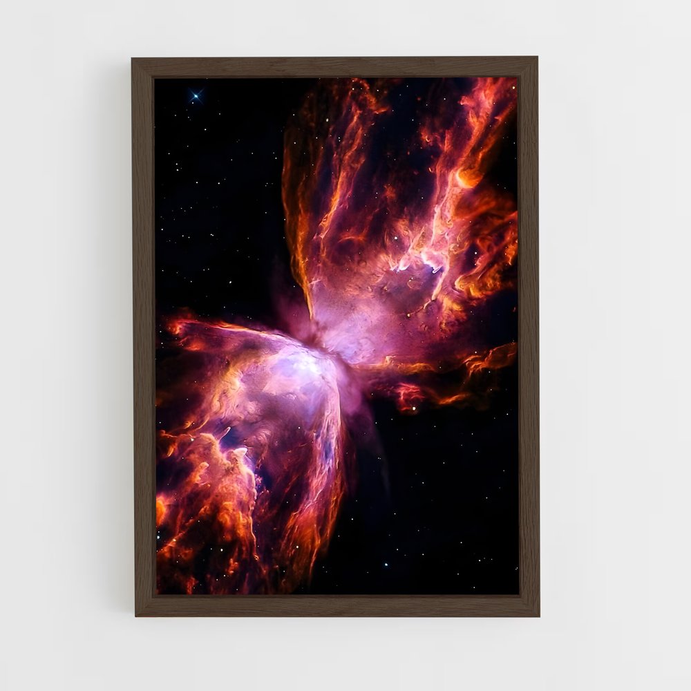 ap-butterfly nebula-1 cadre Bois foncé