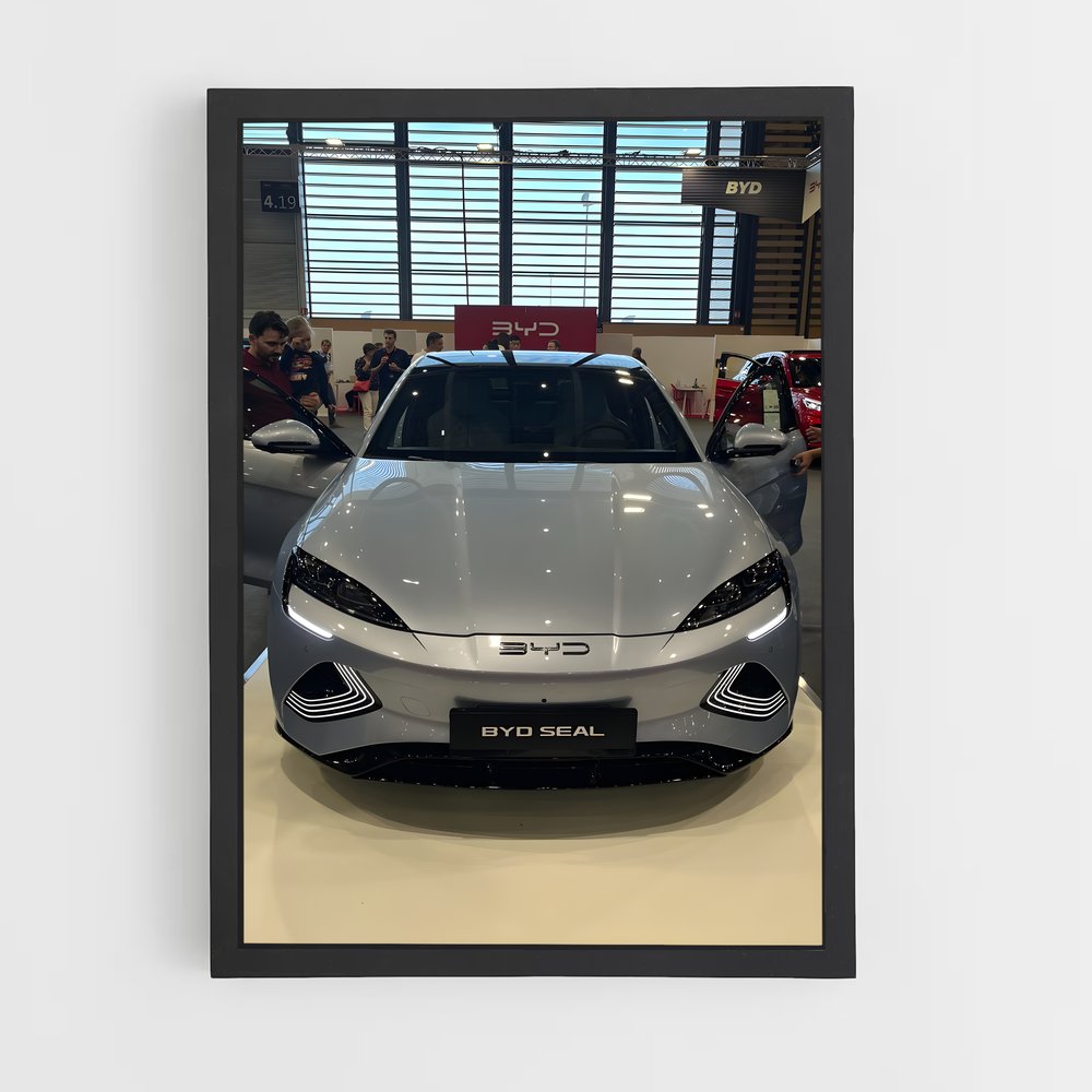 ap-byd-1 cadre Noir