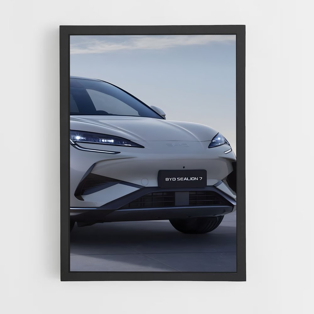 ap-byd-5 cadre Noir