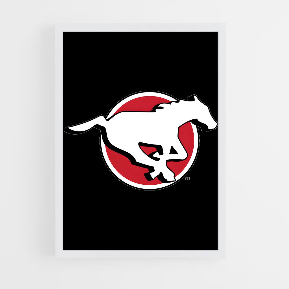 ap-calgary stampeders-1 cadre Blanc