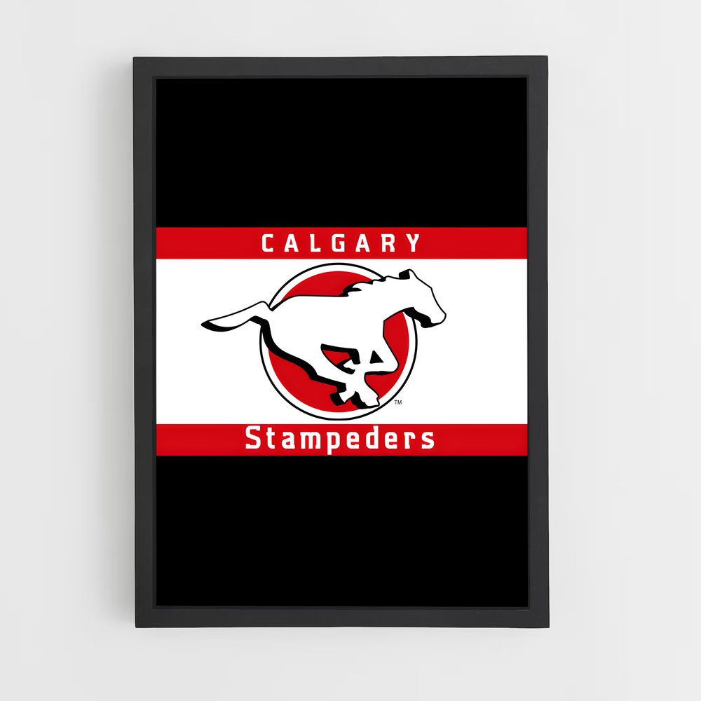 ap-calgary stampeders-4 cadre Noir