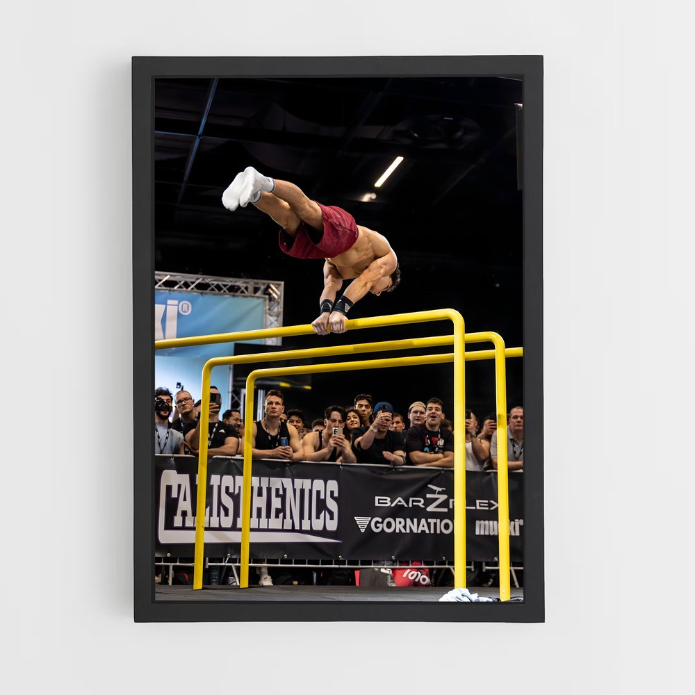 ap-calisthenics world cup-1 cadre Noir