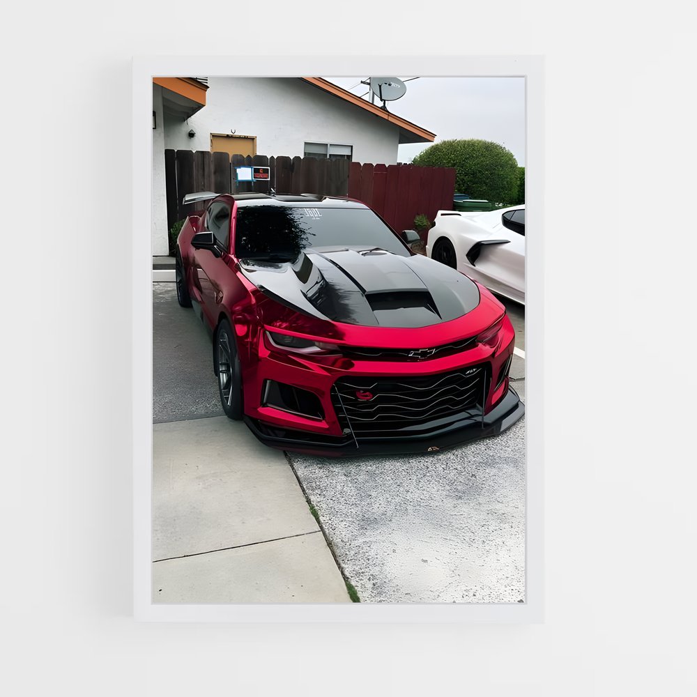 ap-camaro ss-4 cadre Blanc