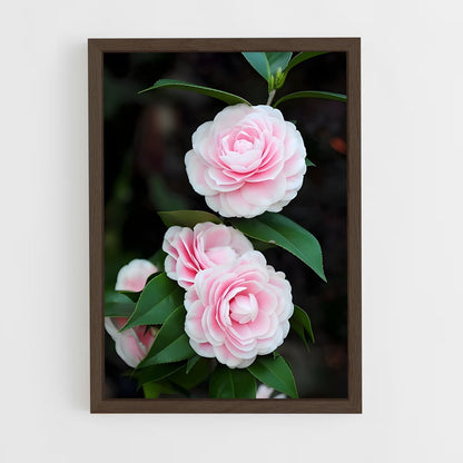 ap-camellia-2 cadre Bois foncé