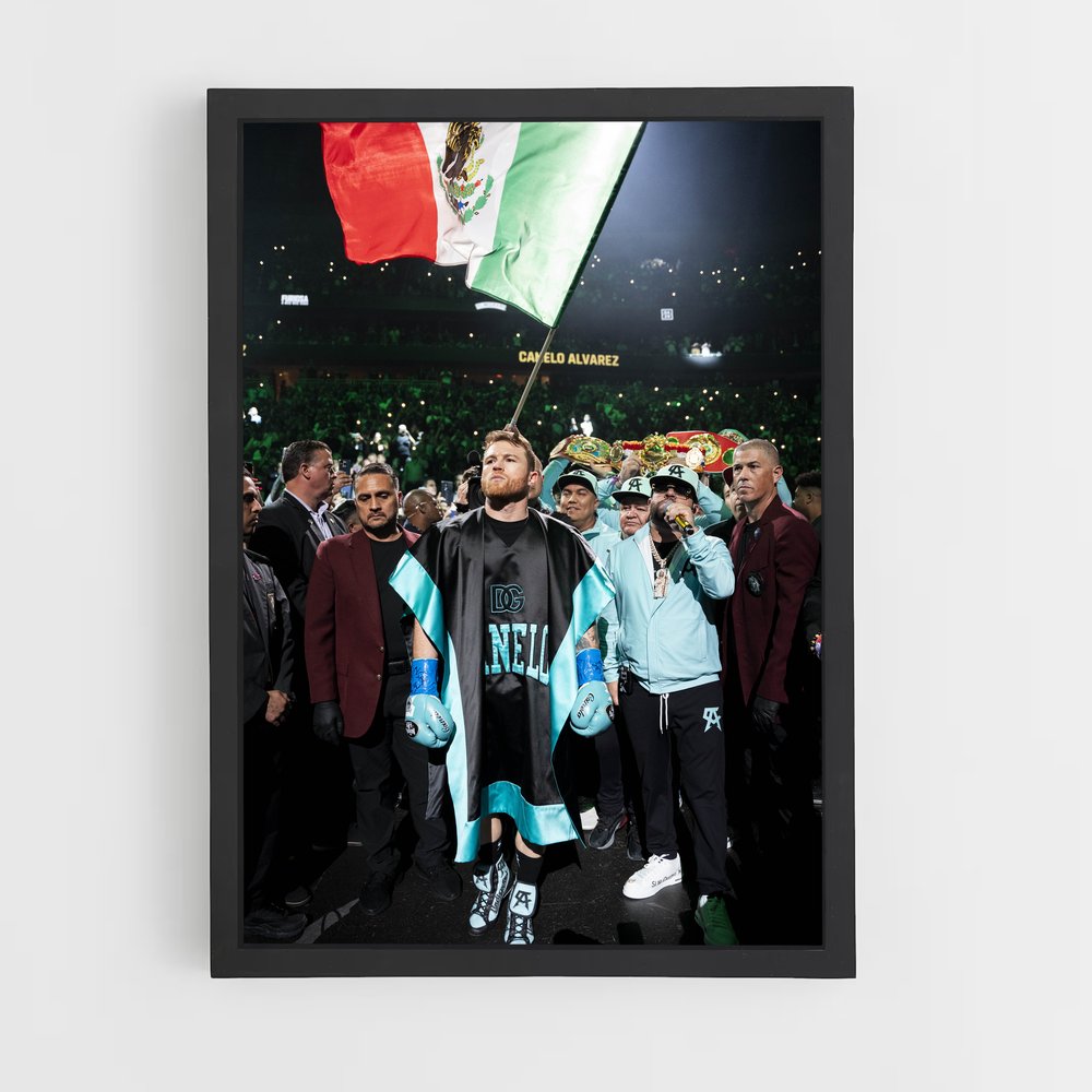 ap-canelo alvarez-11 cadre Noir