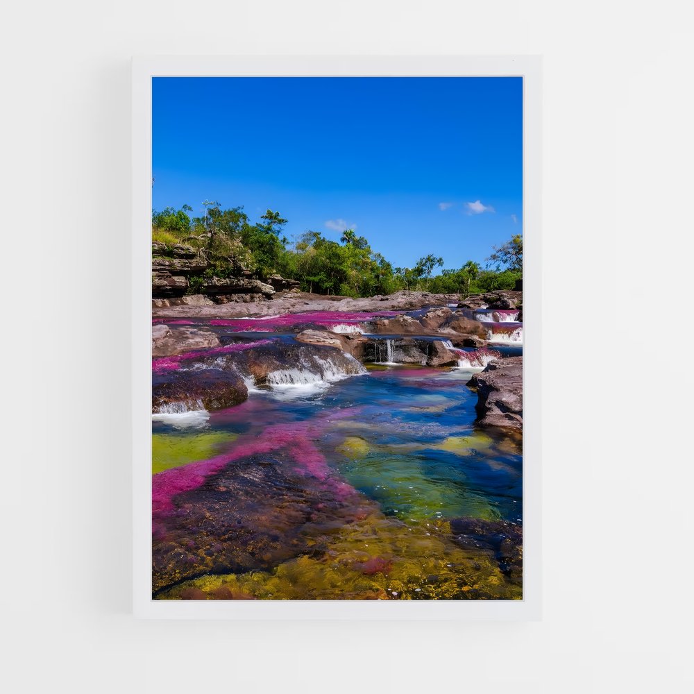 ap-cano cristales-1 cadre Blanc