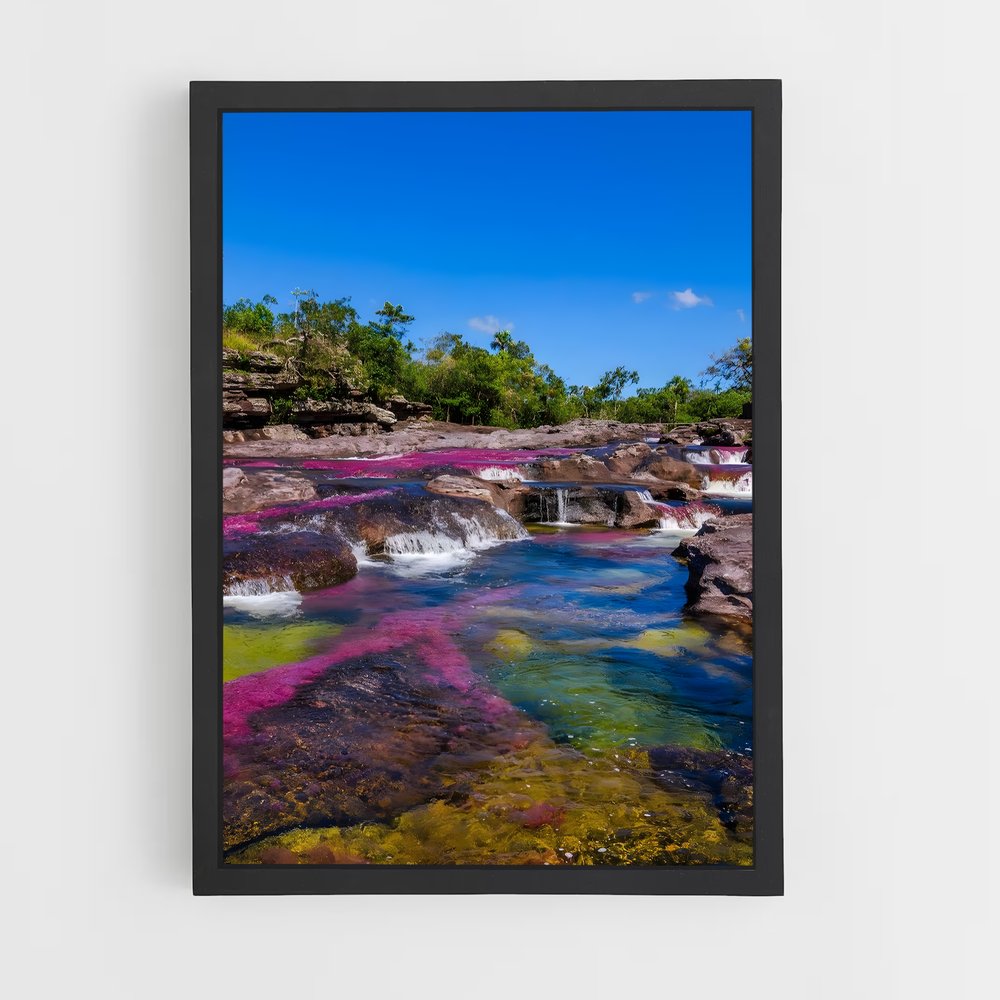ap-cano cristales-1 cadre Noir