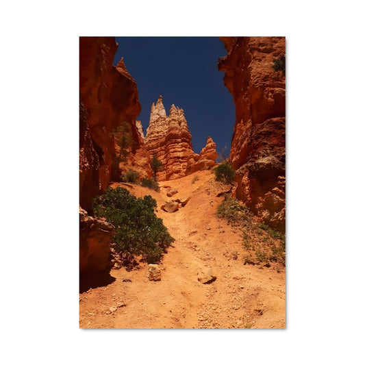 Poster Chemin des Rocheuses