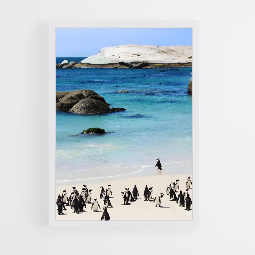 ap-cape town-3 cadre Blanc