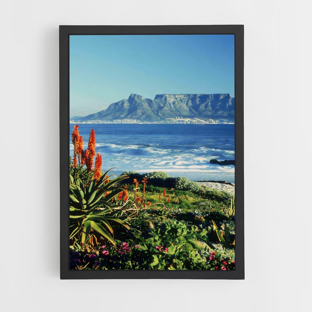 ap-cape town-5 cadre Noir