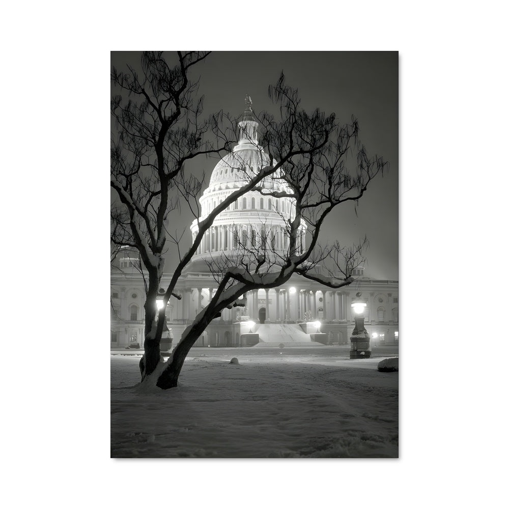 Poster Hiver au Capitole