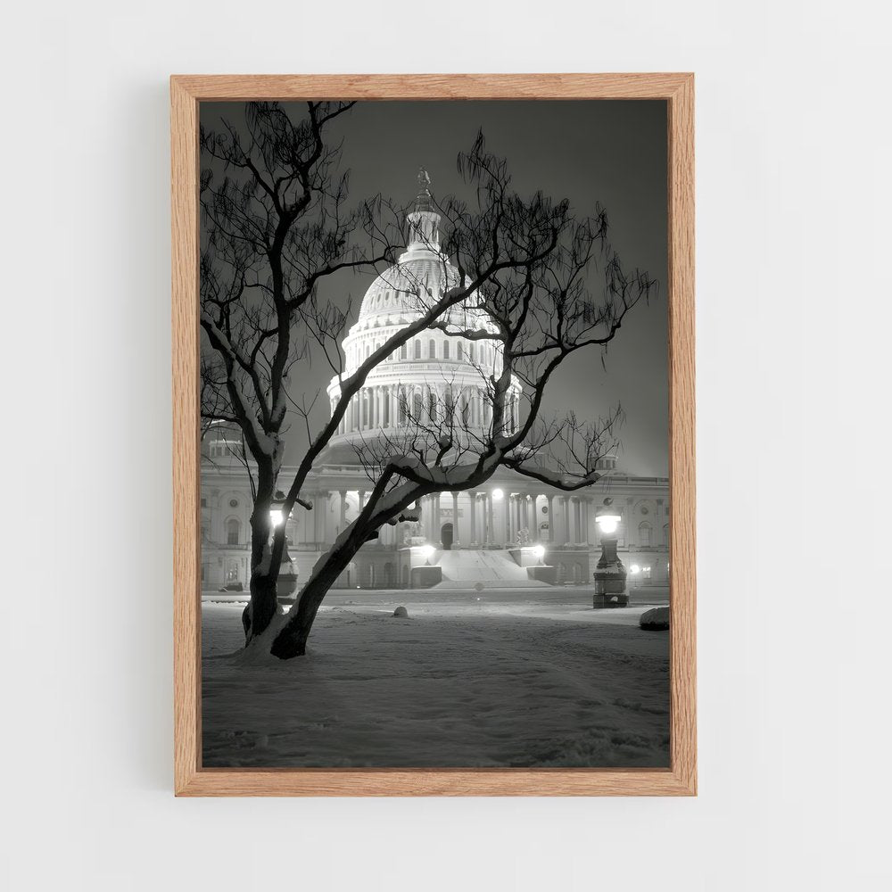 ap-capitol building-3 cadre Bois clair