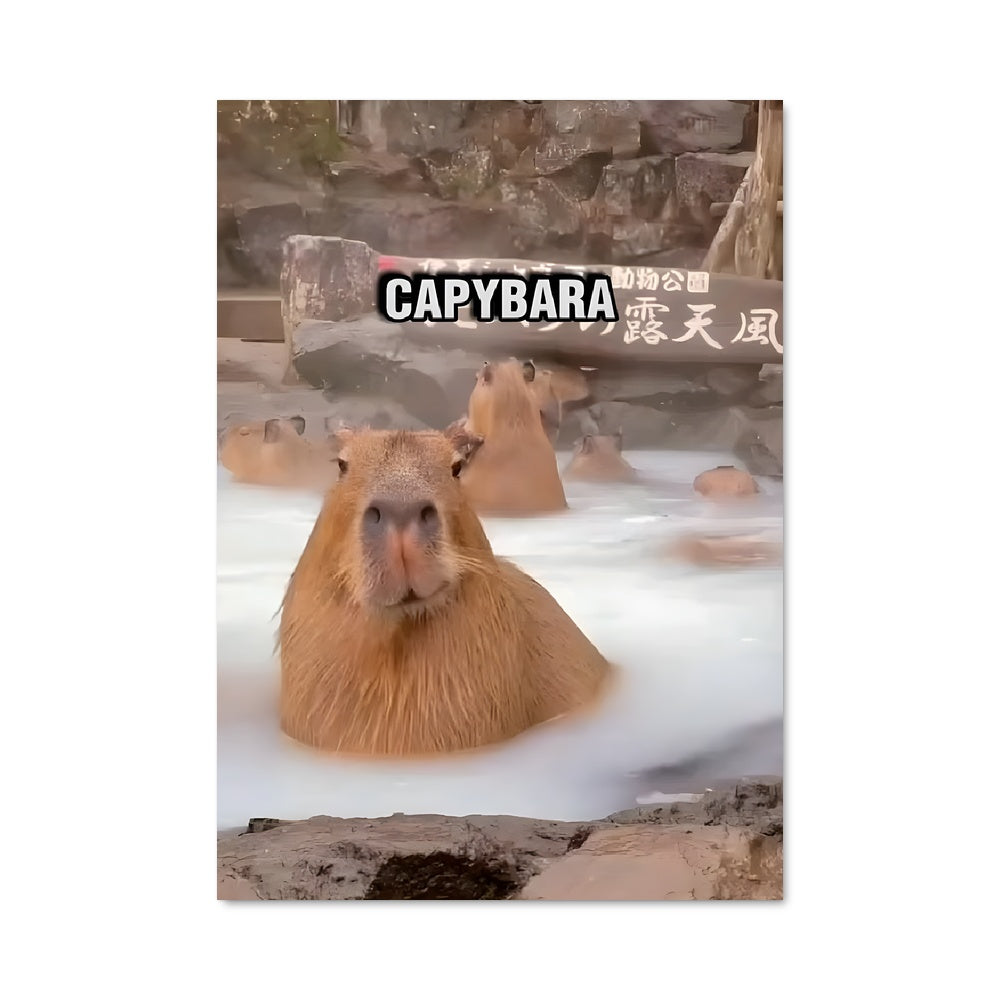 Poster Capybara Plouf