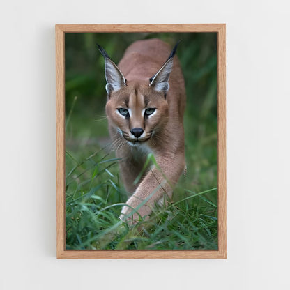 ap-caracal-6 cadre Bois clair
