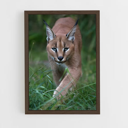 ap-caracal-6 cadre Bois foncé