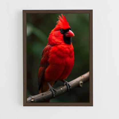 ap-cardinal-2 cadre Bois foncé