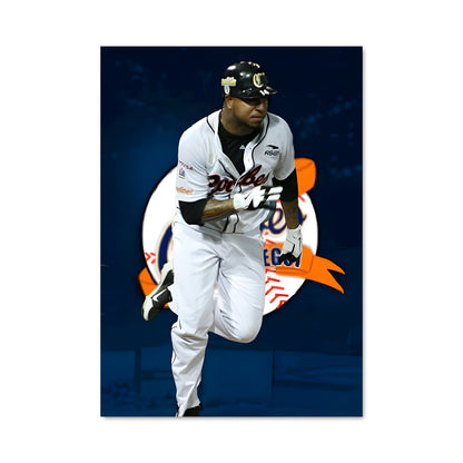 Poster Home Run Fever