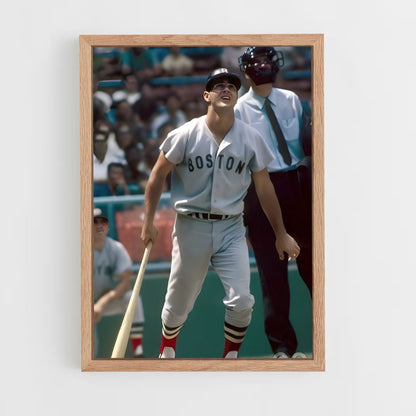 ap-carl yastrzemski-1 cadre Bois clair