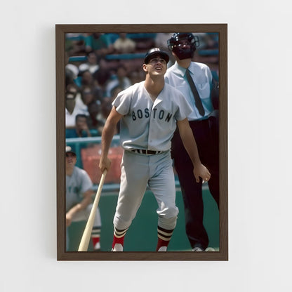 ap-carl yastrzemski-1 cadre Bois foncé