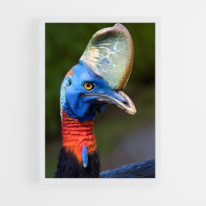 ap-cassowary-7 cadre Blanc