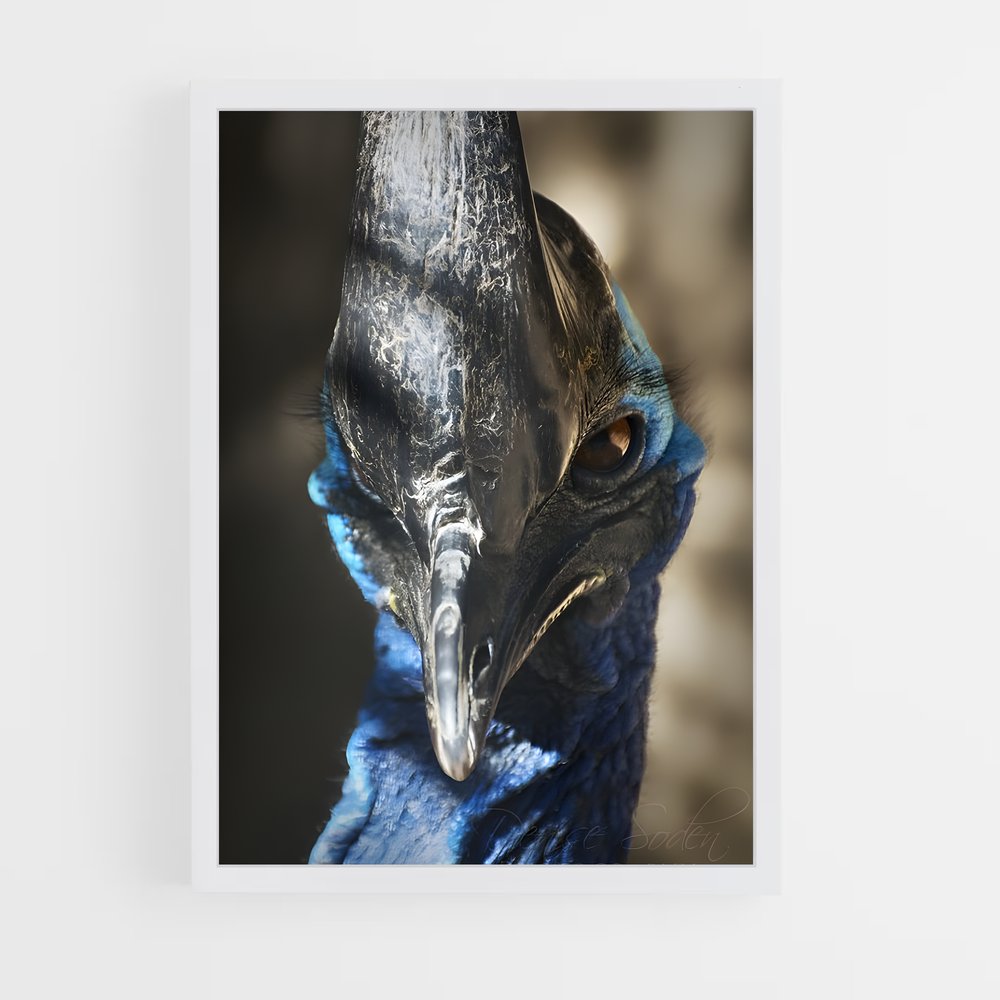 ap-cassowary-8 cadre Blanc