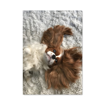 Poster Cavalier king charles spaniel 84939
