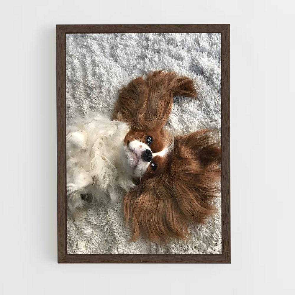 ap-cavalier king charles spaniel-5 cadre Bois foncé