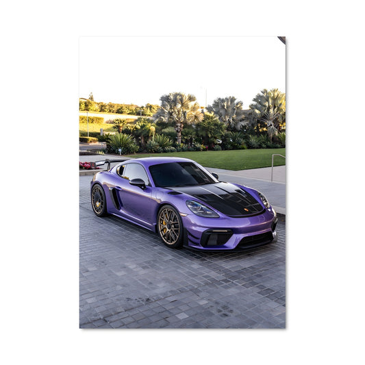 Poster Cayman Purple Dream