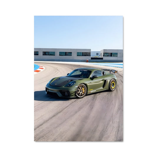 Poster Cayman Vertes